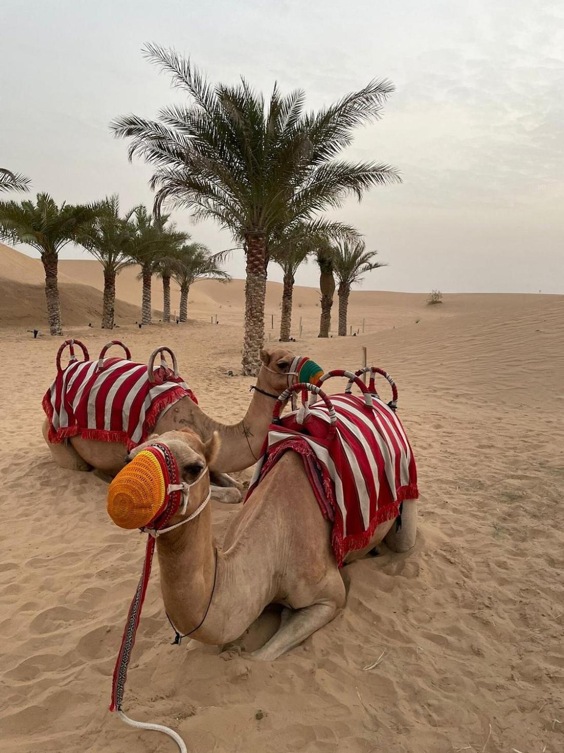 Al Khayma Camp "Elite Glamping & Dining In Experience" Hotel Hunaywah Eksteriør billede